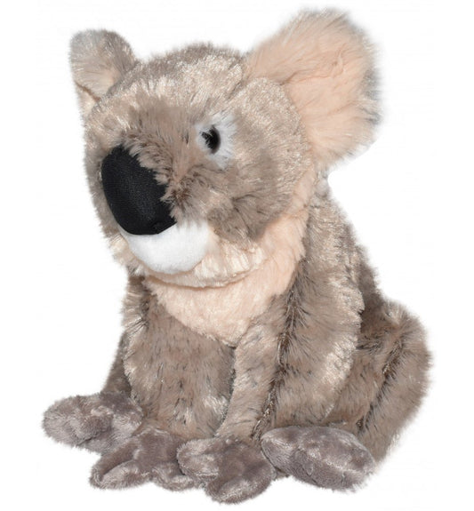 Wild Republic - Koala 30 Cms - Aiala Ocio